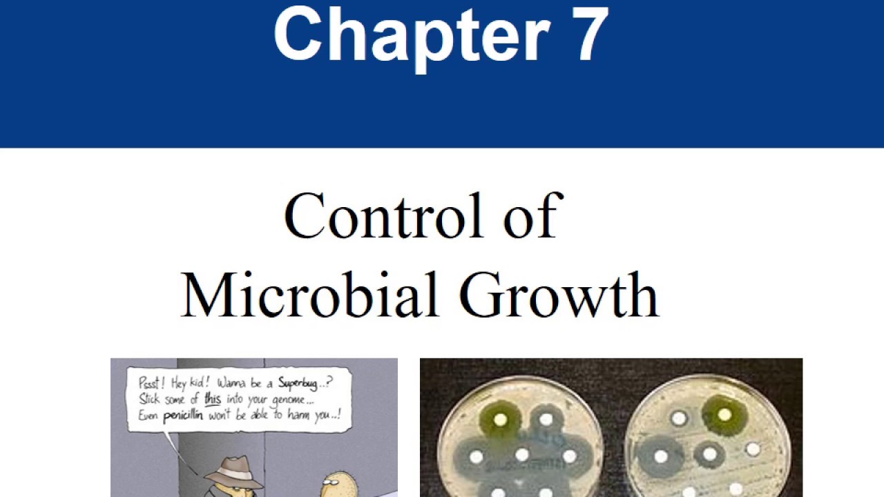 Chapter 9- Control of Microbial Growth