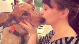 REST IN PEACE - April 14, 2013