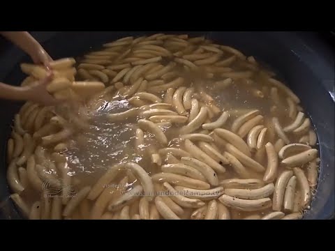 AGROINDUSTRIA DEL PLATANO ASPROAGRO    ARGELIA VALLE