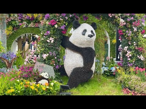 2026/3  香港花卉展覽2026