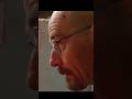 Breaking Bad The Fly