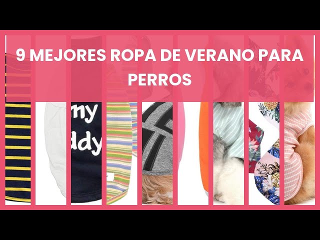 Vídeo relacionado con Voarge Camiseta con rayas para perros, camisetas de verano para perros, de algodón suave, ropa para cachorros, camiseta básica de Chihuahua, ropa para gatos pequeños y medianos (azul, S)