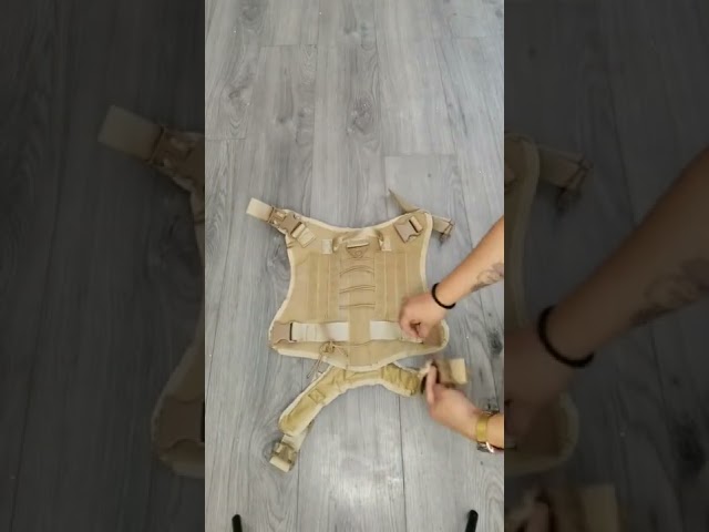 Vídeo relacionado con España Militar del Ejército Federal Parche para Ropa Táctica Mochila Gorra de Béisbol Uniforme Chaleco Arnés Para Perros