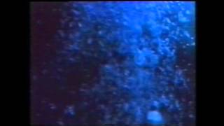 R.E.M. - The Wrong Child (Satellite Presentation Video)