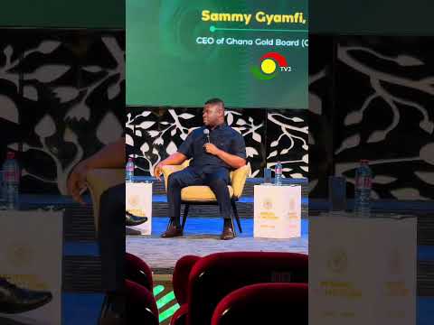 Ghana Has Made no Losses - Sammy Gyamfi