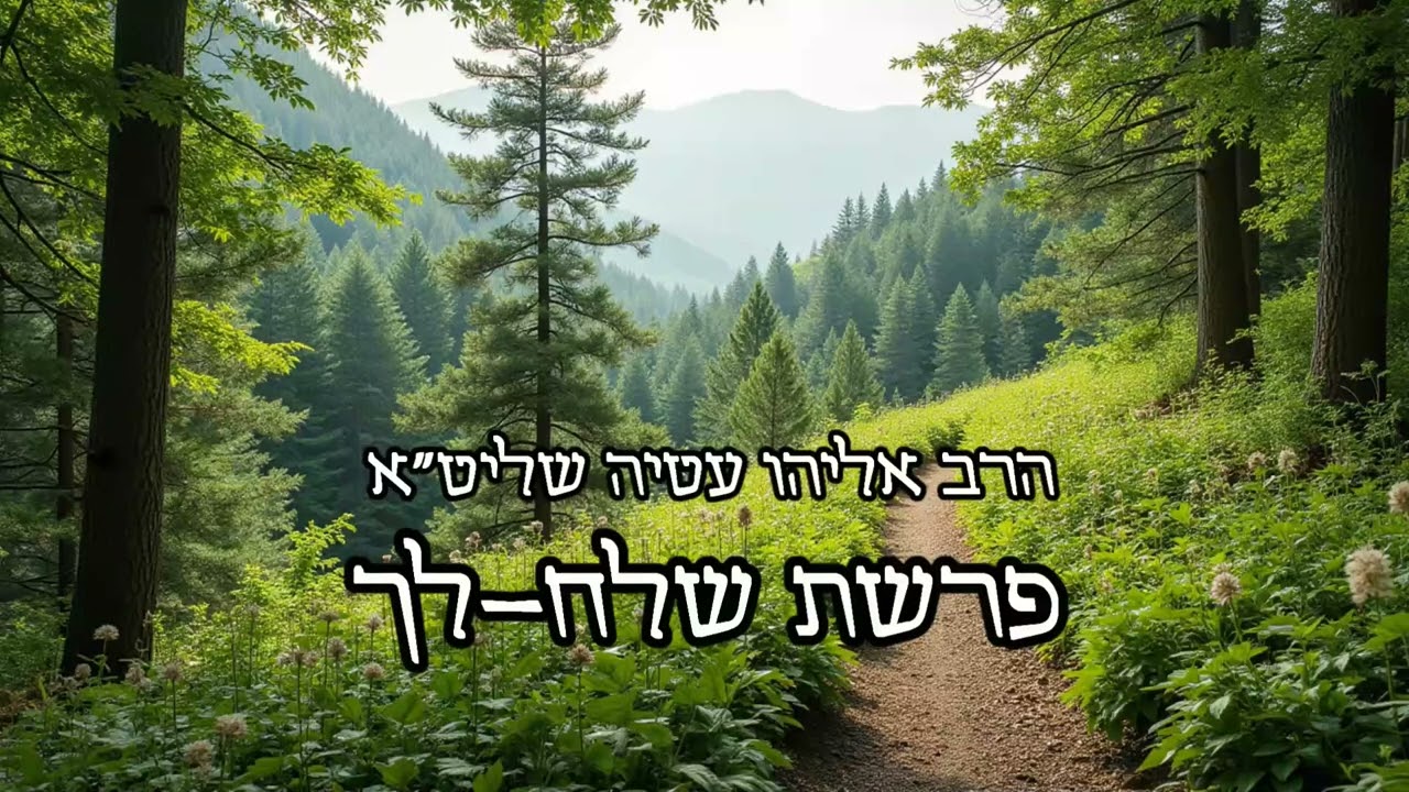 הרב אליהו עטיה - שלח-לך תשפ''ו