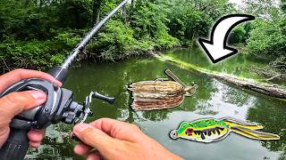 Fishing Jigs & Frogs For SHALLOW Cover Bass! (No Scope)