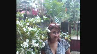 Pangarap Lang Kita - Mitch