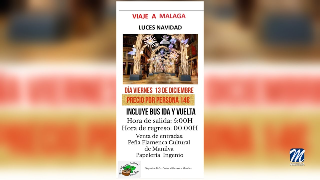 Viaje a las luces de Navidad en Málaga