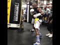 THAT SNAP Mayweather Perfecting His Jab