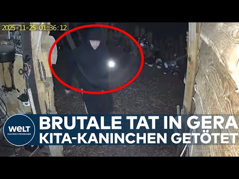 SCHOCK IN GERA: Einbruch in Kita! Unbekannter tötet Kaninchen – Polizei ermittelt mit Videoaufnahmen