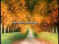 There is a Reason (CMTC)