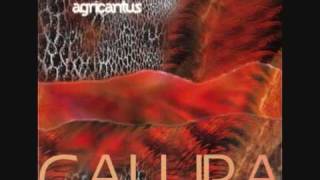 Agricantus - Viaggi