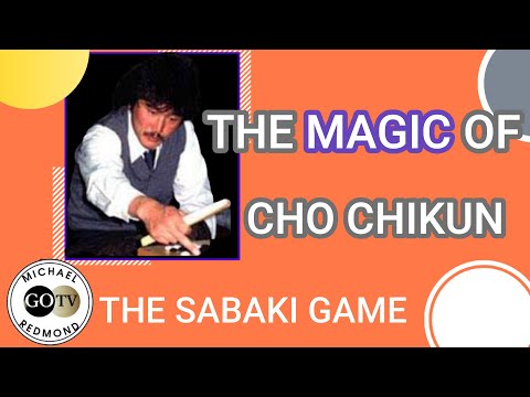 My Game with Cho Chikun in 2003