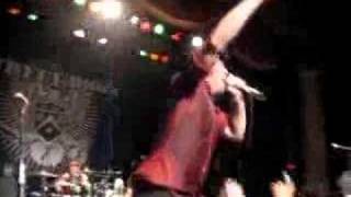 Street Dogs- Drink Tonight