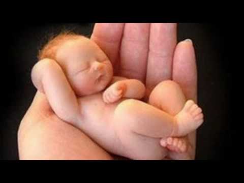 DEUS SARA ESTA NAÇÃO  -  FERNANDA BRUM   HD