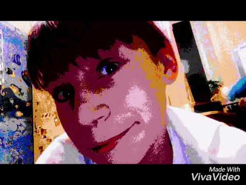 Породия вела вела