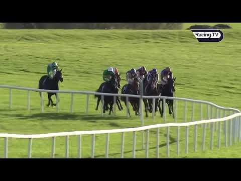 G3・ラフブラウンS 2025 / Comer Group International Loughbrown Stakes 2025