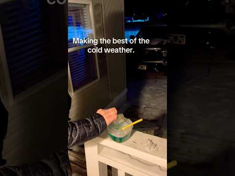 This Is What Happens When Bubbles Freeze 🥶🫧