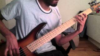 Azwethinkweiz - Incubus (Bass Playthrough)