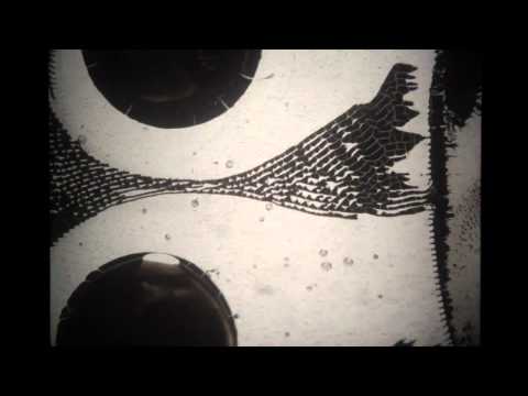 Chris Cohen // Monad YouTube Thumbnail