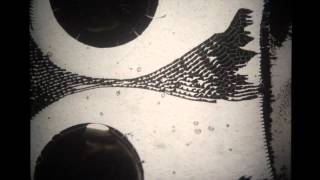 Chris Cohen // &quot;Monad&quot;