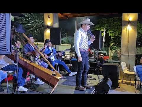 Morichalito - Carlos Saavedra 