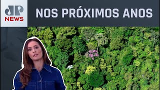 América Latina terá mais de 15 milhões de vagas na área ambiental; Patrícia Costa analisa