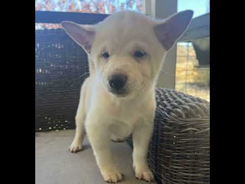 Splatoon 3 ost. Overworld: Alterna 6