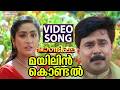 Mayilin Kondal Video Song Pandippada Dileep Prakash Raj Navya Nair