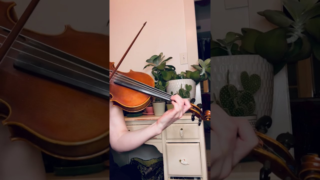Promotional video thumbnail 1 for Metsker Violin
