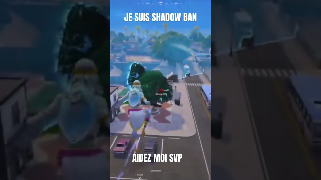 SHADOW ban #faitepercer #fortnite