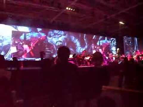 Blizzard Worldwide invitational 2008 - Video games live 10