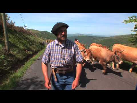 Vacada de Pèire Solinhac de La Garriga