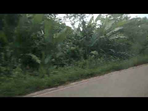 Viajando em Barcarena para Abaetetuba (Carro) | 30/11/2025 (1/2)