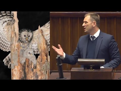 Sprawy wagi państwowej w sejmie