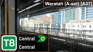Sydney Trains Waratah (A-set) [A37]: Central → Central (Clockwise)