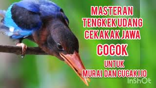 Download lagu Masteran Tengkek Udang / Cekakak Jawa Gacor Jernih Durasi Panjang Untuk Masteran Murai Dan Cucakijo mp3