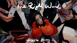 Gentle Bones - The Right Words (Official Music Video)
