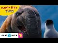 Happy Feet 2 Obstacles And Opportunities Cartoonito Africa