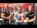 GYM REPORT | WORLD GYM SAN FRANCISCO | NEUER GANZKÖRPER PLAN