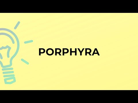 What is the meaning of the word PORPHYRA?