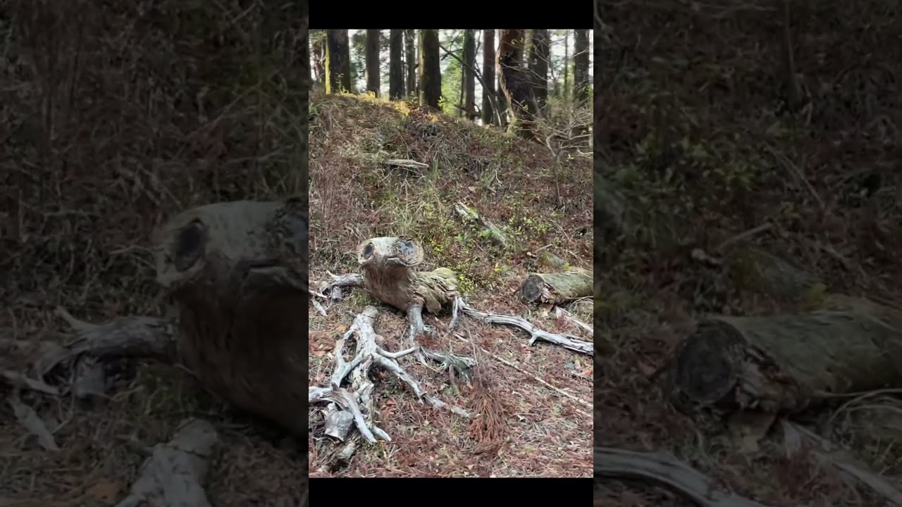 ET…おうち…かえる… #ET