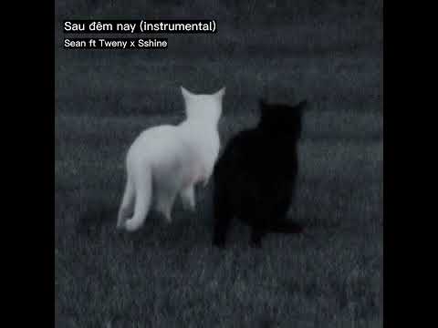 Sau đêm nay - Sean ft Tweny x Sshine (instrumental)