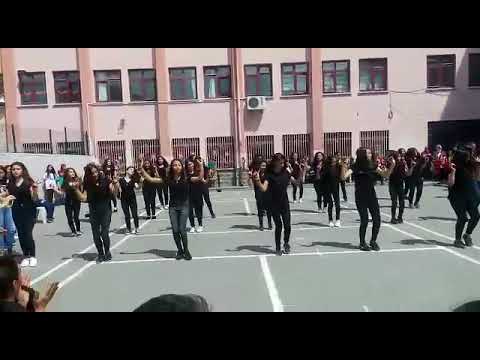 19 MAYIS 7. Sınıflar ERIK DALI GEVREKTİR💃