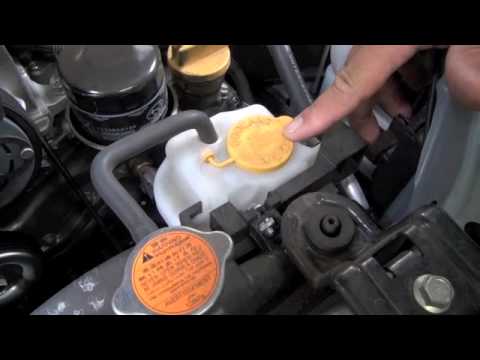 Maita Subaru Service Tip-Checking Coolant Level