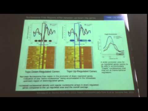 IMBB Seminar - Christoforos Nikolaou - July 04, 2014