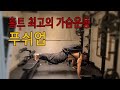 푸쉬업(홈트 최고의 가슴운동)