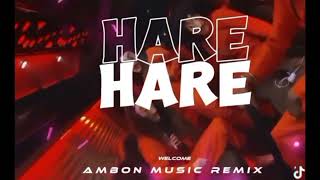 Download lagu lagu Joget India Hare Hare Remix terbaru 2024 mp3 Download lagu lagu Joget India Hare Hare Remix terbaru 2024 mp3