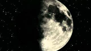 björk: moon (biophilia tour projection)
